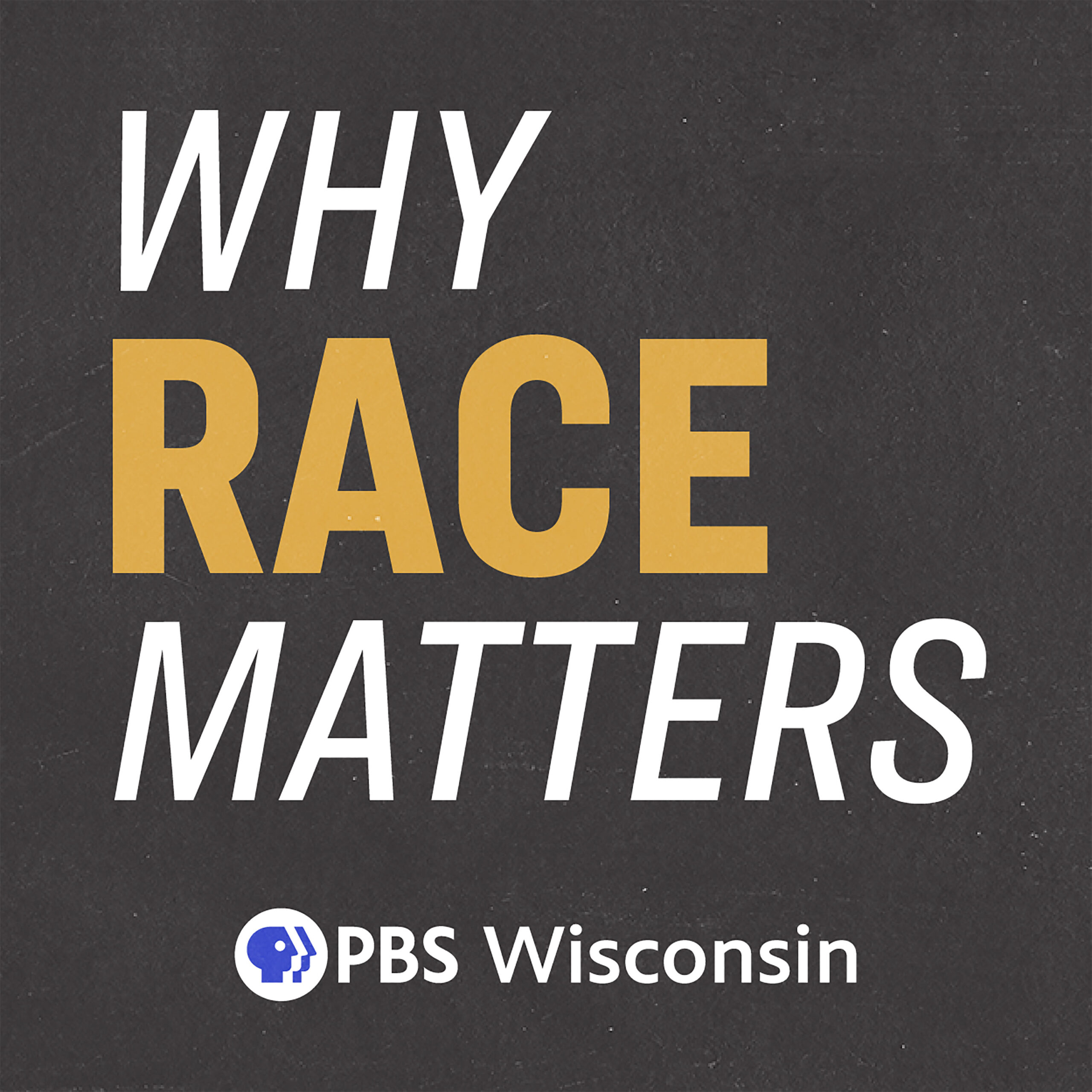 Why Race Matters