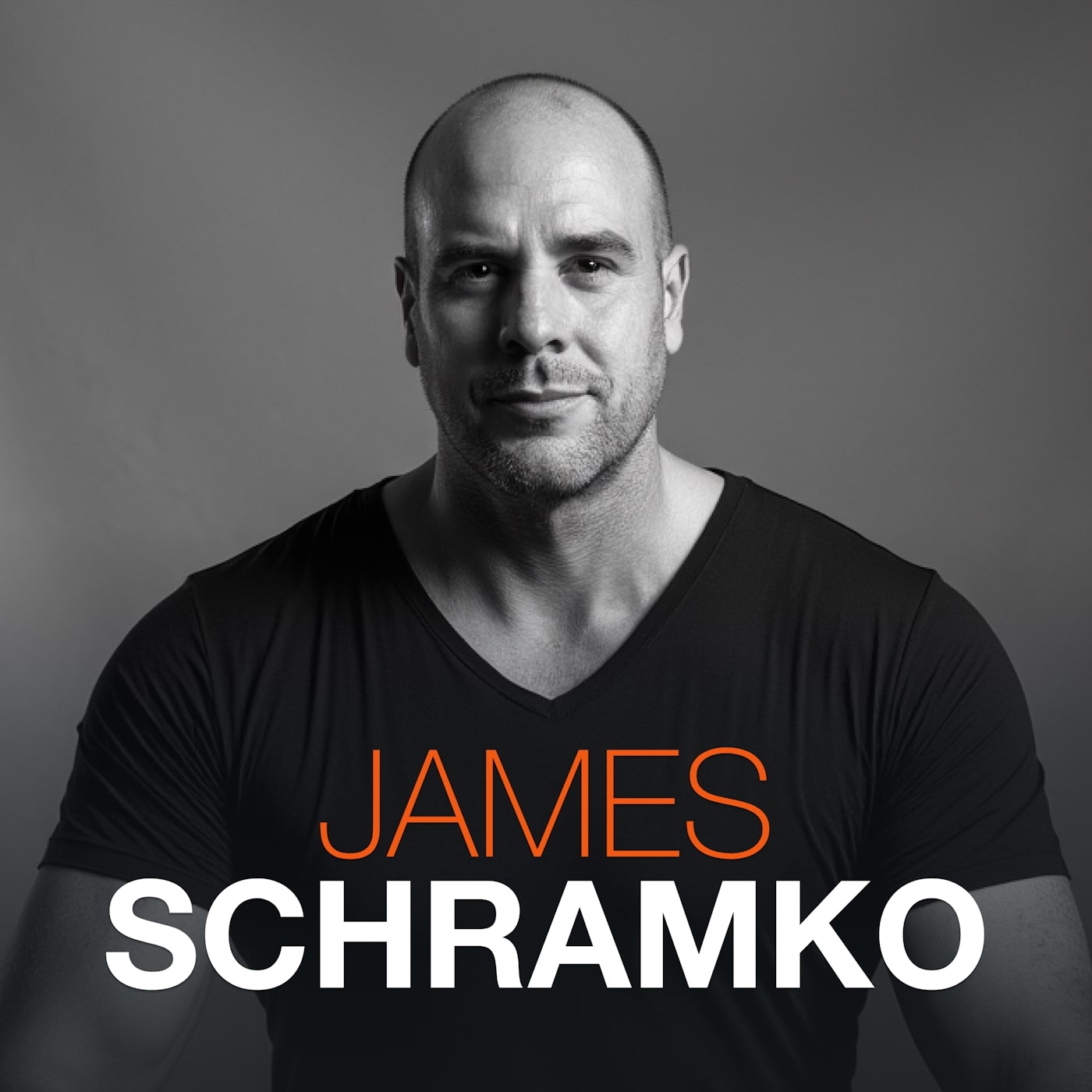 James Schramko Podcast